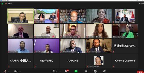 加勒比网在线视频,揭秘神秘海洋世界的在线视频盛宴