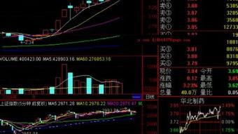 股票讲堂在线视频6,揭秘股市投资策略与实战技巧