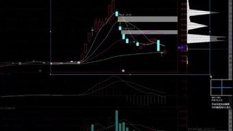 股票讲堂在线视频6,揭秘股市投资策略与实战技巧