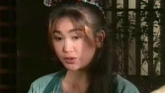 恨锁瓶梅在线视频,揭秘古代爱情悲剧的在线视频解析