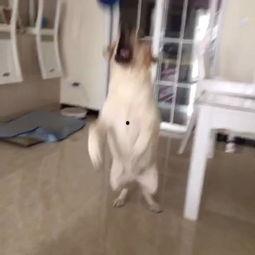 好屌射在线视频,激情四溢的视觉盛宴