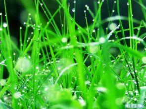 装睡被草在线视频,揭秘网络迷因背后的搞笑瞬间