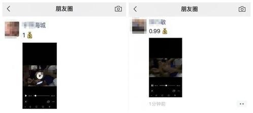 酒店干极品在线视频,揭秘隐秘的激情世界