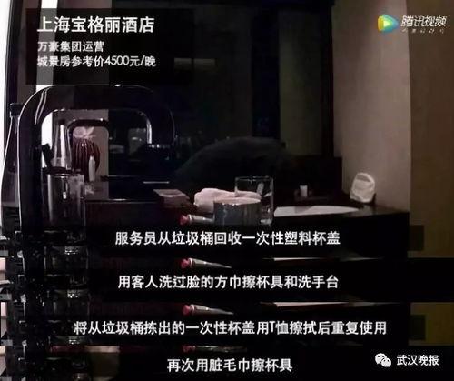 酒店干极品在线视频,揭秘隐秘的激情世界