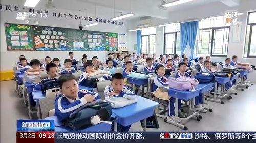 国内中学在线视频,探索中学在线视频教学新篇章