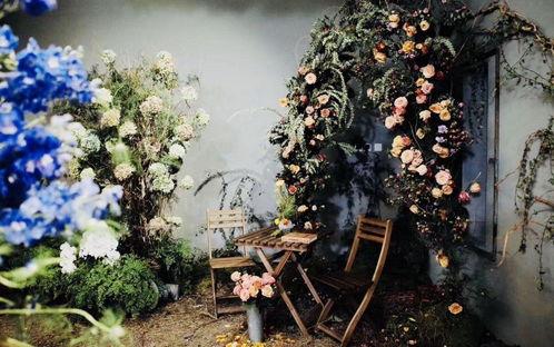 神秘花园在线视频