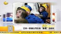 A 日本道在线视频