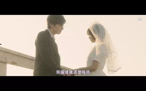 岛田理在线视频