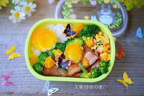 便当在线视频,轻松学会家常美味便当 第2张 便当在线视频,轻松学会家常美味便当 第2张