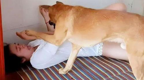 美女和狗在线视频,温馨互动，治愈系在线视频集锦