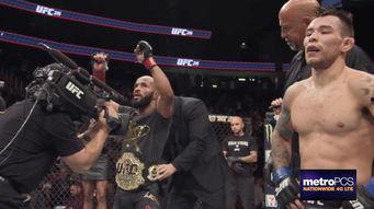 ufc216在线视频,巅峰对决，热血沸腾的激战之夜